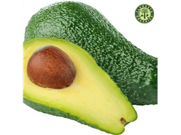 Avocado Orgnico