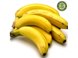 Banana prata Orgnica