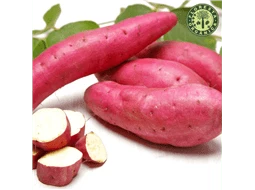 Batata Doce Orgnica