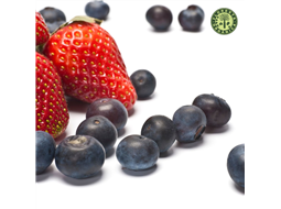 Combo mirtilo + morango Juranda (500g de cada)