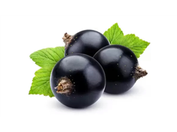 Geleia de Jabuticaba