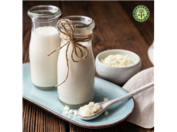 kefir, prebiticos, intestino, sade, imunidade, kefir de leite, kefir de leite de coco