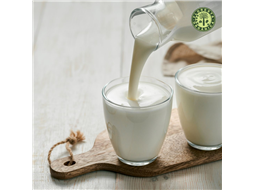 kefir, prebiticos, intestino, sade, imunidade, kefir de leite, kefir de leite de coco