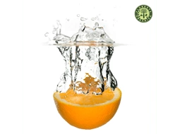 Laranja Serra Dgua