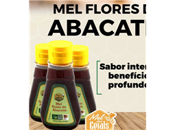 Mel de flores de Abacateiro