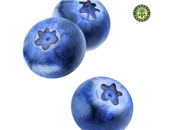 Mirtilos (Blueberry)