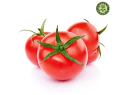 Tomate Italiano Orgnico